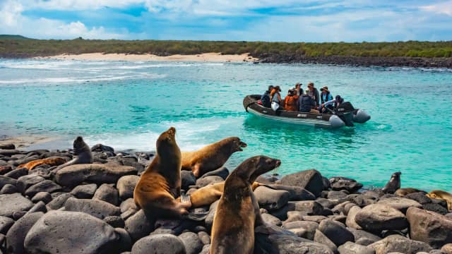 Galápagos Southern Route · Galaxy Bonita 7