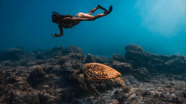 Galápagos Northern Route · EcoGalaxy 2
