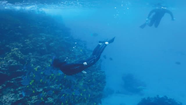Galápagos Southern Route · Galaxy Orion 2