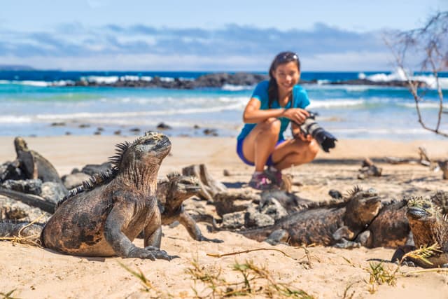 Galápagos Islands – Iconic Wildlife & Sublime Scenery (Western Route) 4