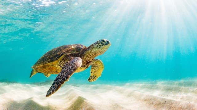 Galápagos Islands – Iconic Wildlife & Sublime Scenery (Western Route) 2