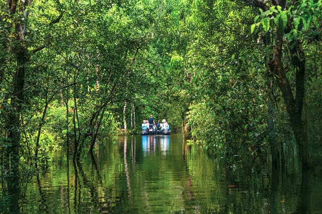 Expedition Amazon: the green heart of South America