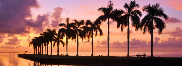 38-Day Amazon Explorer & Caribbean Shores